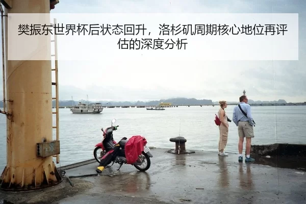 樊振东世界杯后状态回升，洛杉矶周期核心地位再评估的深度分析
