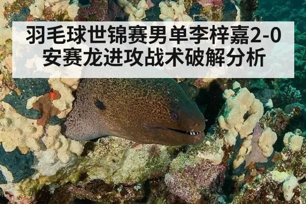 羽毛球世锦赛男单李梓嘉2-0安赛龙进攻战术破解分析