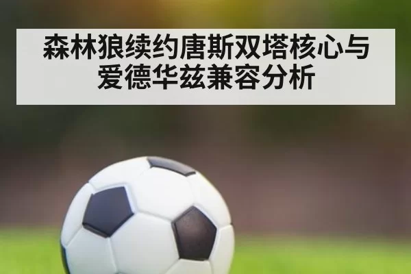 森林狼续约唐斯双塔核心与爱德华兹兼容分析